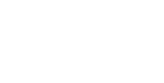 nm logo